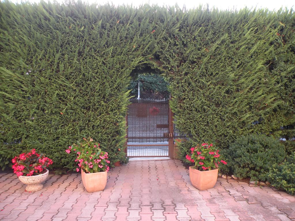 Villa Casa Oriana Rosolina Exterior foto